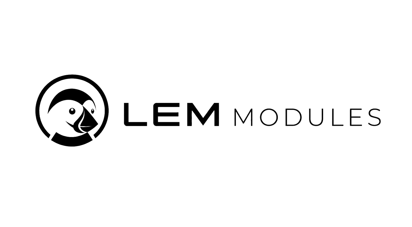 LEM Module